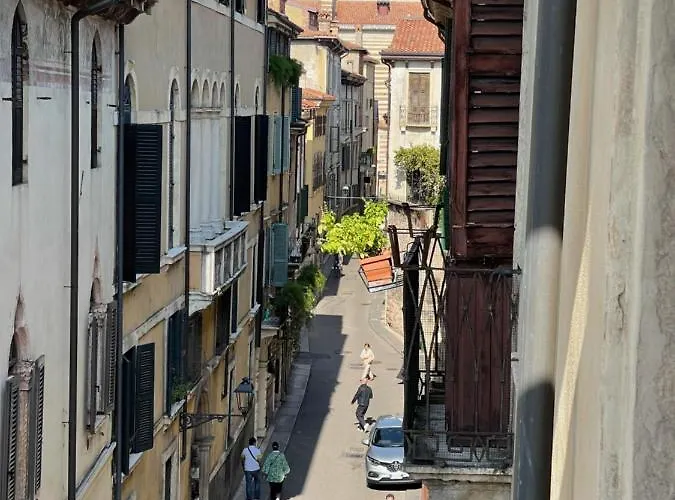 Domus فيرونا