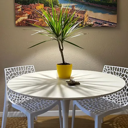 Apartment Domus