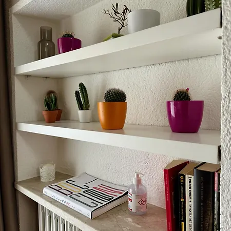 Domus *